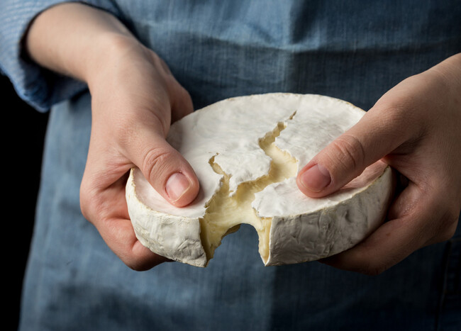 Queso Amoniaco