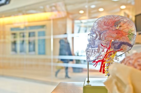 La hormona irisina, que liberamos al hacer deporte, podría ser la clave para el tratamiento del Alzheimer