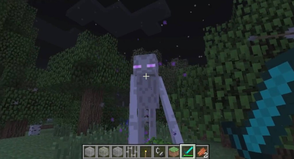 En 2011 se avistó una criatura en Minecraft que no podía existir. Un jugador se obsesionó tanto que creó un servidor dedicado a romper el juego para encontrarlo