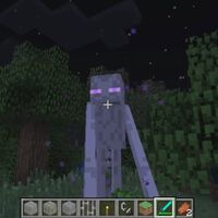 En 2011 se avistó una criatura en Minecraft que no podía existir. Un jugador se obsesionó tanto que creó un servidor dedicado a romper el juego para encontrarlo