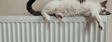 Es un error común que dispara el gasto en calefacción. Por qué no es buena idea tapar total o parcialmente los radiadores de casa