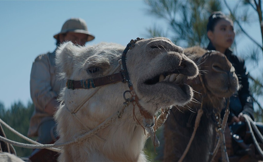 6 años después, vuelve una de la saga de aventuras más importantes del cine por última vez: "Nuestra película final"