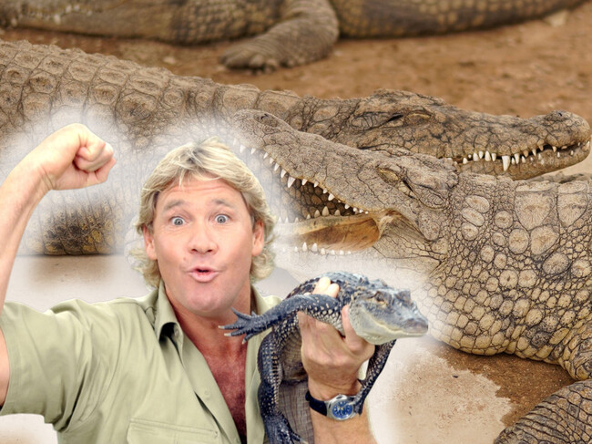 Steve Cocodrilo