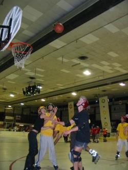 Roller Basket
