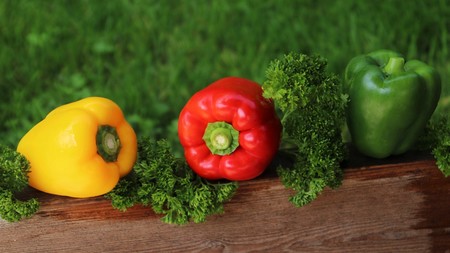 Siete recetas con pimientos para disfrutar de su temporada