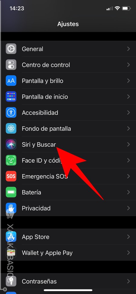 Siri Y Buscar