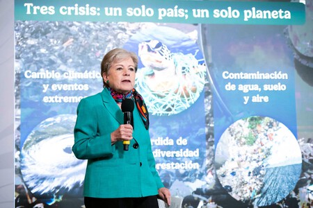 Mexico Aprueba Ley Bienestar Animal Xataka Mexico 9