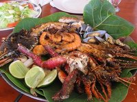 El marisco en la alimentación infantil (I)