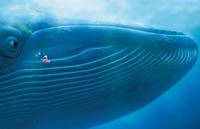 Taller de ciencias: experimentos con agua (II) 