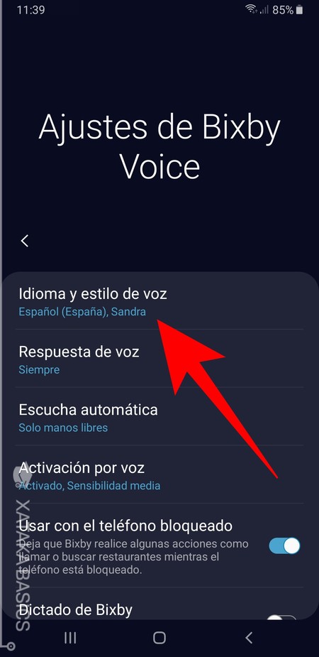 Idioma Y Estilo De Voz