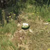 Localización de todas las plantas de Peyote en GTA 5 para controlar animales