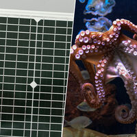 La perovskita llevaba años fallando por dentro. La solución estaba en los pulpos