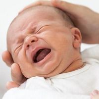 El dolor de barriga del bebé: ¿qué podemos hacer?