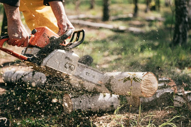 Motosierra Einhell