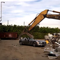 Dolorpasión™: Así es como pierde sus alas esta gaviota SLS AMG