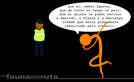 fauna en ruta: estupidez y aptitud