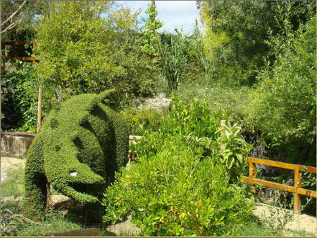 Bosque3