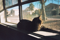 Ventajas y desventajas de ser autónomo 