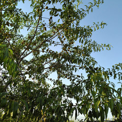 Foto 6 de 34 de la galería asus-zenfone-ar en Xataka