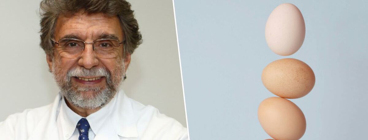 Antonio Escribano, médico especialista en nutrición: "Cinco huevos a la semana es una pauta válida para toda la vida. Aportan proteína, colina y nutrientes