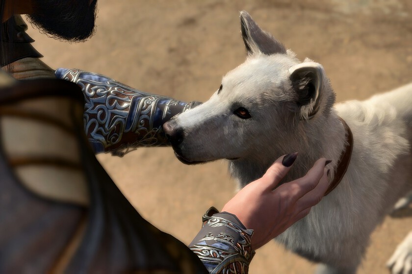 Animales Baldur S Gate 3