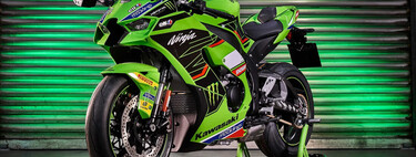 Pilla un babero porque Kawasaki ha sacado una edición limitada de la ZX-10RR del WSBK con chuches de carreras