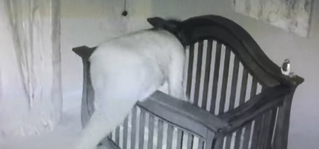 El vídeo más divertido de una abuela poniendo a dormir al bebé: se va de cabeza dentro de la cuna 