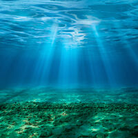 O fundo do oceano está fixando carbono de uma maneira que ninguém imaginava 