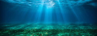 O fundo do oceano está fixando carbono de uma maneira que ninguém imaginava 