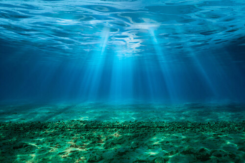 Fundo do oceano | Fonte: Getty Images