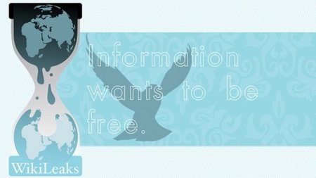 WikiLeaks confía miles de documentos a la red y al periodismo-ciudadano