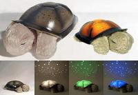 Peluche-tortuga proyector de luces en el techo