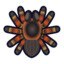 Tarantula