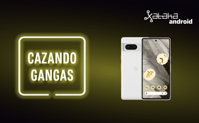 Cazando Gangas
