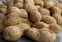 La cura para la alergia al cacahuete un paso más cerca