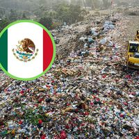 Que las empresas en México paguen por contaminar: este es el nuevo plan que busca impulsar el reciclaje