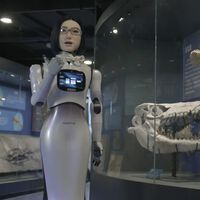 En la carrera por conseguir el robot humanoide, China tiene una ventaja: los está poniendo al frente de tiendas