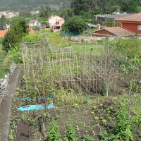 Hace veinte años el 45% de las familias gallegas ahorraban dinero gracias a la huerta: hoy ese mundo está desapareciendo