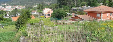 Hace veinte años el 45% de las familias gallegas ahorraban dinero gracias a la huerta: hoy ese mundo está desapareciendo