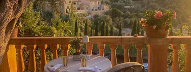 Llega hoy a Lidl la planta más bonita y duradera: no necesita mucho mantenimiento y decora todas las terrazas