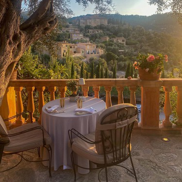 Acaba de llegar a Lidl la planta más bonita y duradera: no necesita mucho mantenimiento y decora todas las terrazas