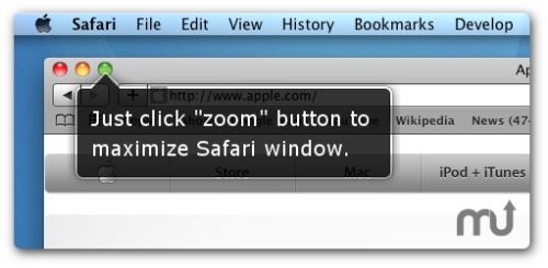 SafariZoom