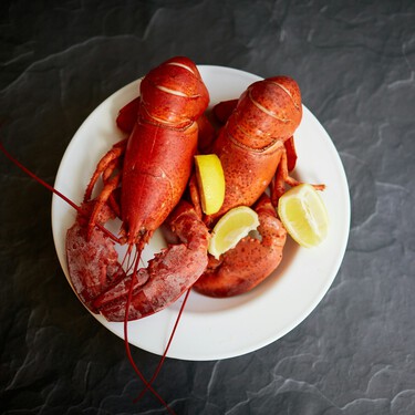 Ya disponible en Aldi: un bogavante por menos de 7 euros con el que preparar un buen arroz para toda la familia