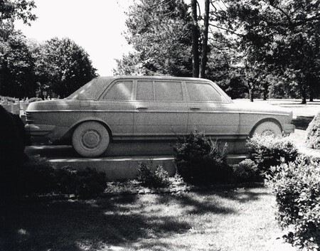 Mercedes Ray Tse