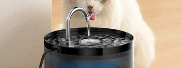 La mejor fuente de agua para gatos y perros: ¿cuál comprar? Consejos y recomendaciones