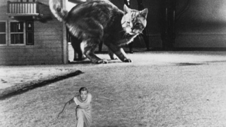 'El increíble hombre menguante' ('The Incredible Shrinking Man', Jack Arnold, 1957)