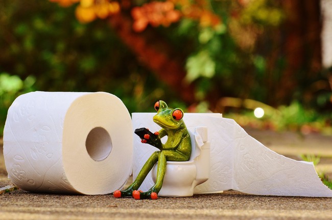 toilet-paper