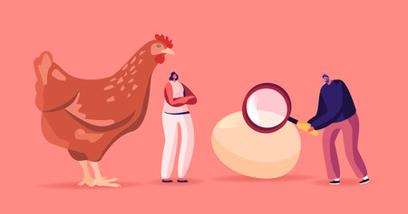 Vuelta a la tortilla: el consumo de un huevo o más al día podría mejorar la salud arterial en lugar de empeorarla, según un nuevo metaanálisis