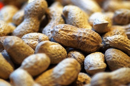 Cuales son los alimentos que contienen yodo