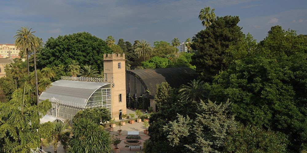 Vive la primavera en el Jardín Botánico de la Universidad de Valencia